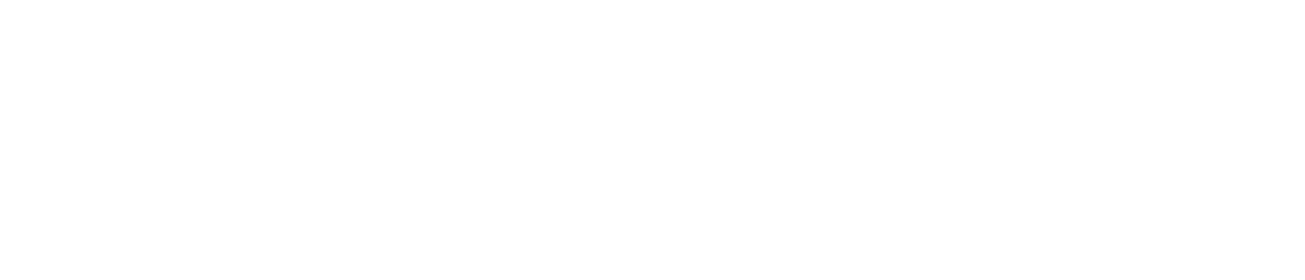 Sealegs