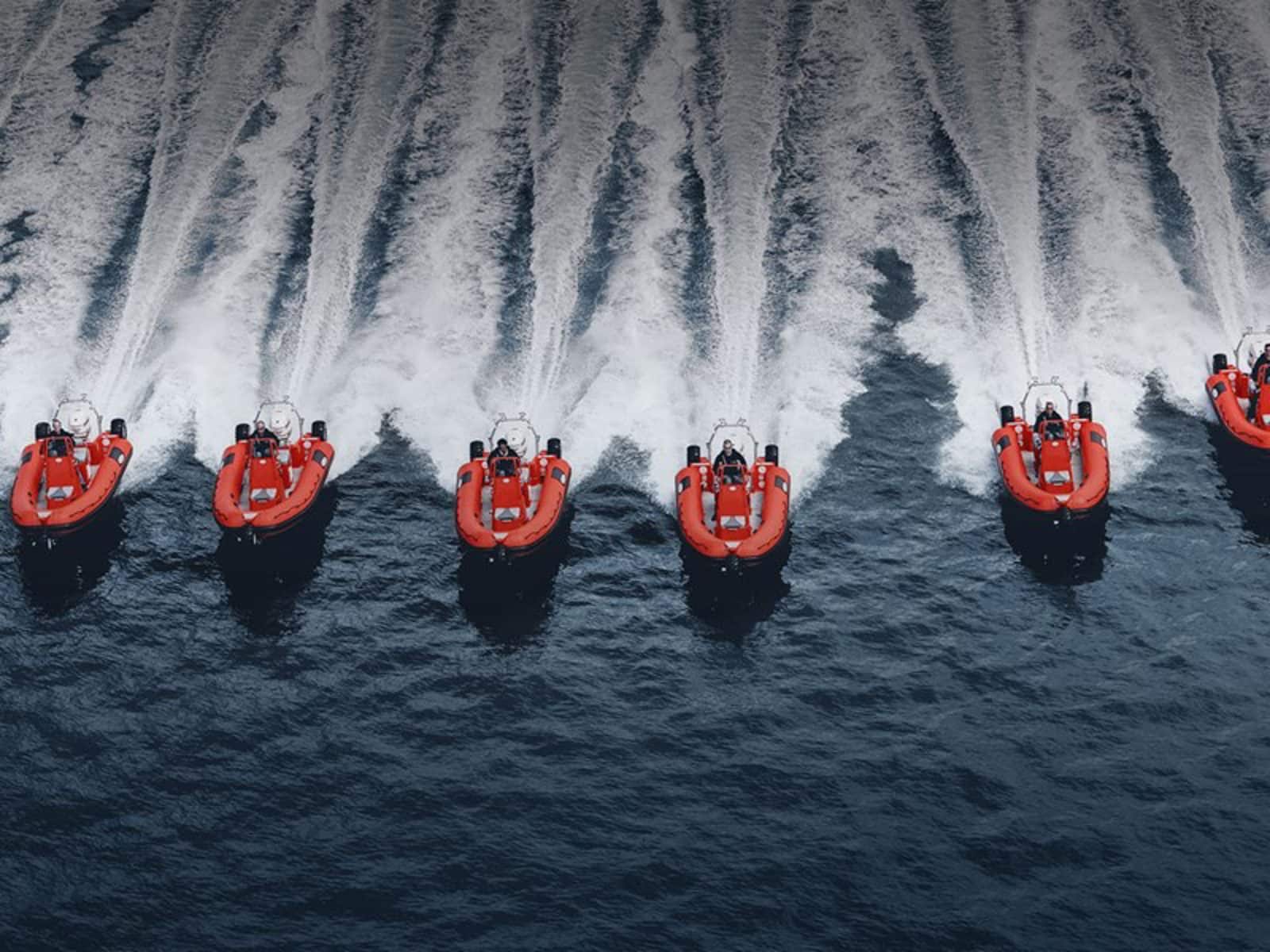 6.1m (20') Commercial RIB: com 61m rib